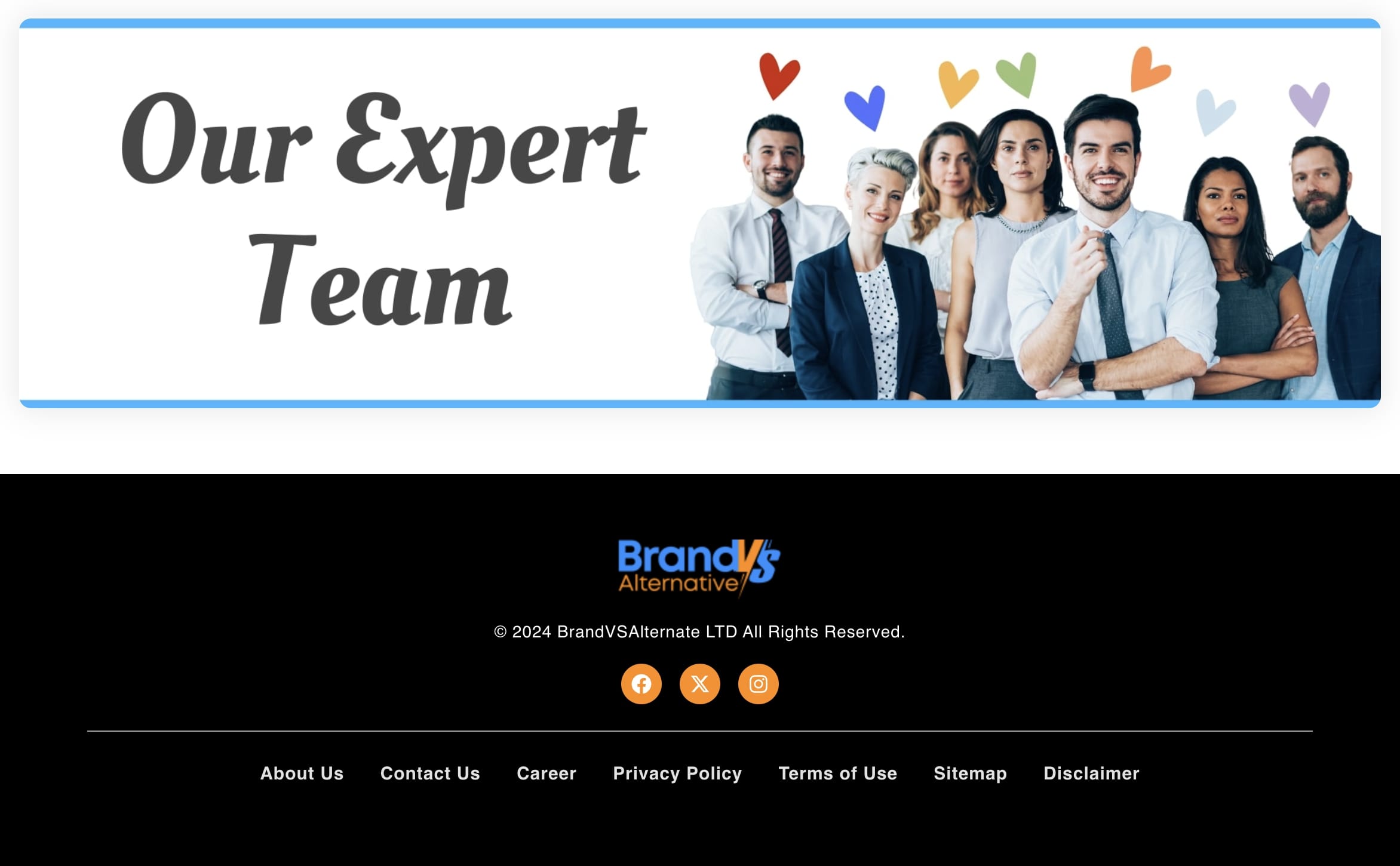 brandvsalternate.com - Why Trust Their Recommendations